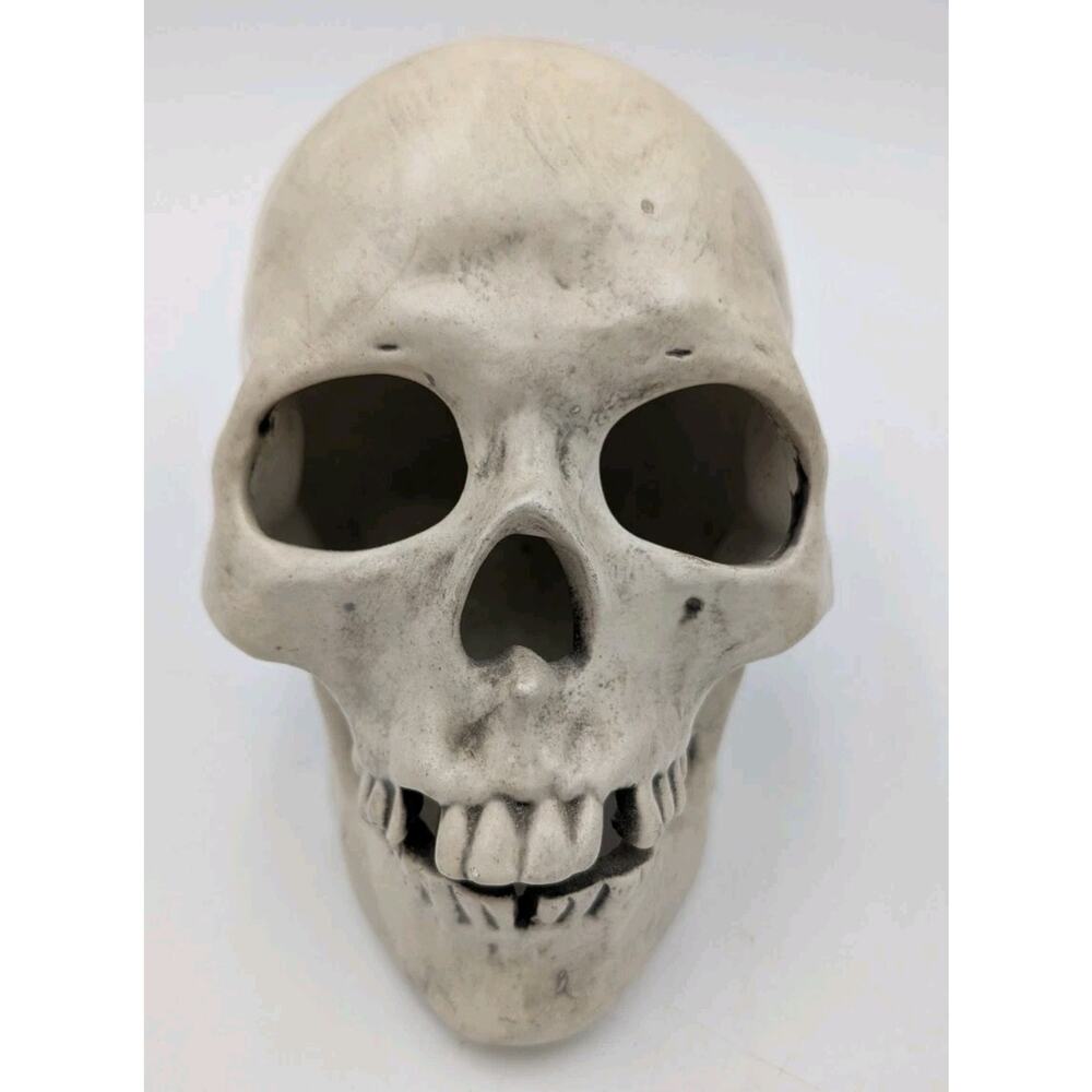 Lot of 3 Resin Skull Figurines – JC Crafts J.D. Dollen 2006 Gothic Steampunk - Picture 12 of 16